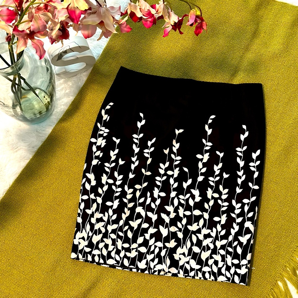 Black and white skirt from Ann Taylor.  Size 10.